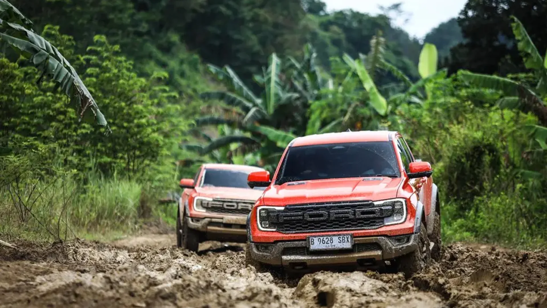 raptor-article-1024x683.jpg